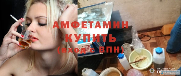 ешки Ельня