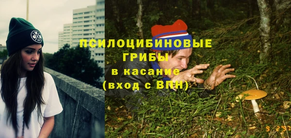 трава Елабуга