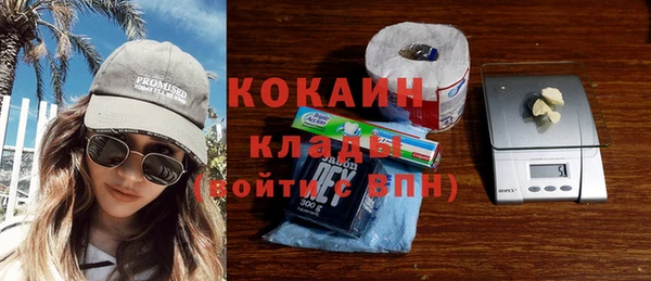 ешки Ельня