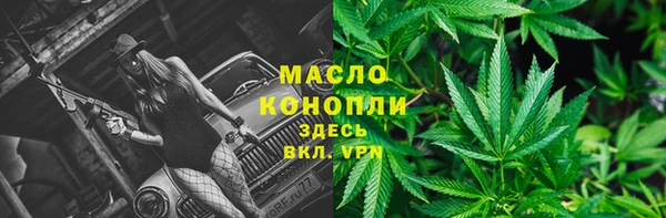 ешки Ельня