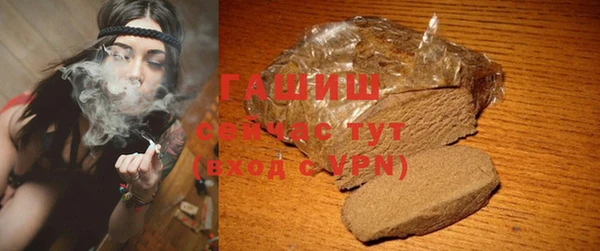 ешки Ельня